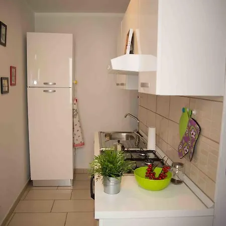 Appartement Carol House