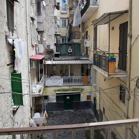 Carol House Nápoles