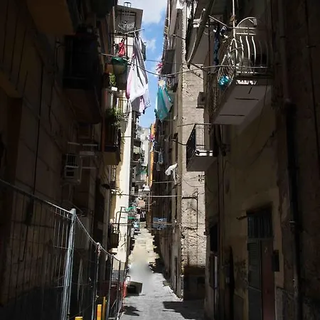 Apartamento Carol House *